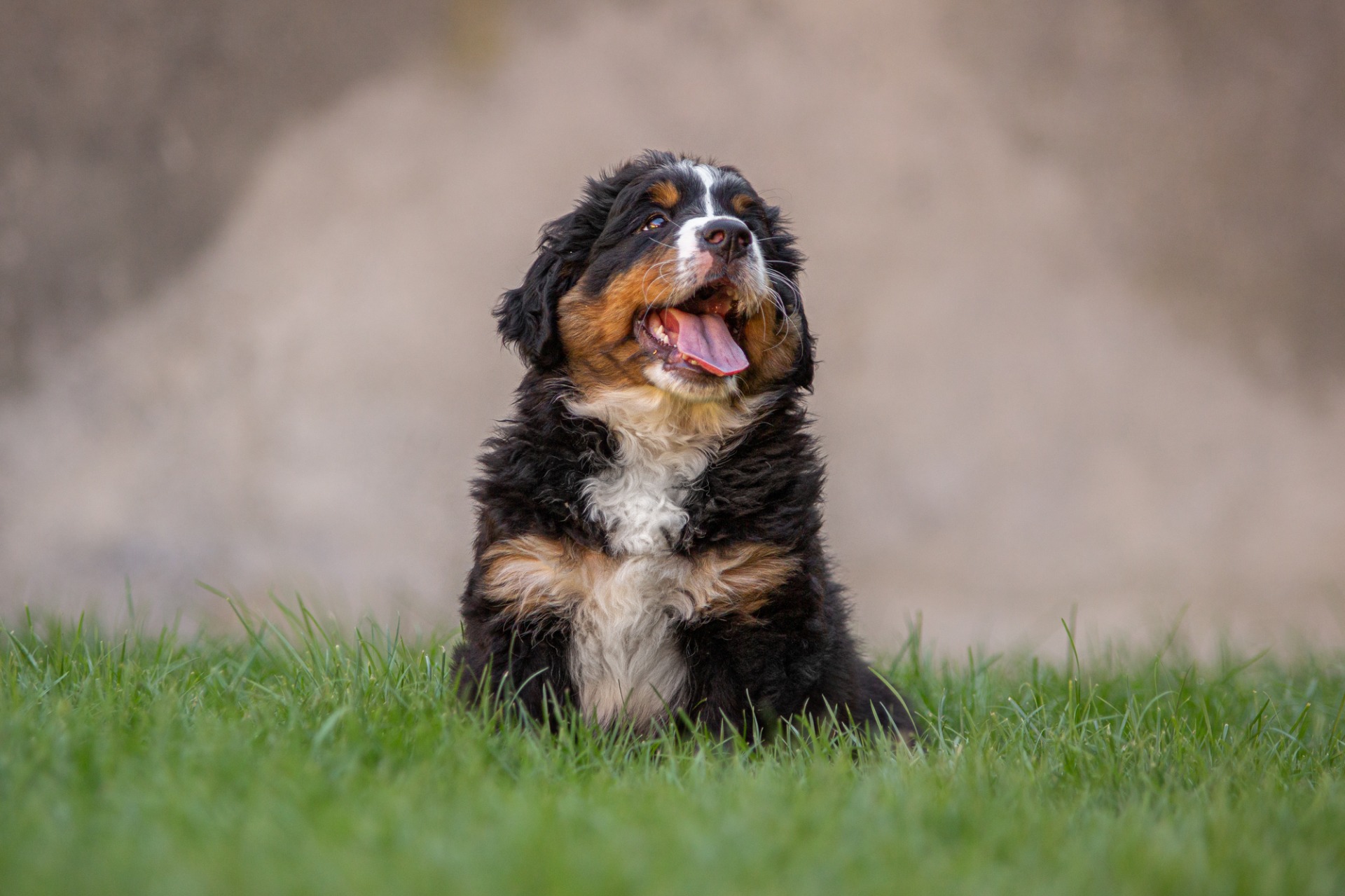 Be Happy - červená stužka